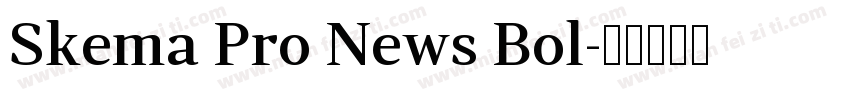 Skema Pro News Bol字体转换